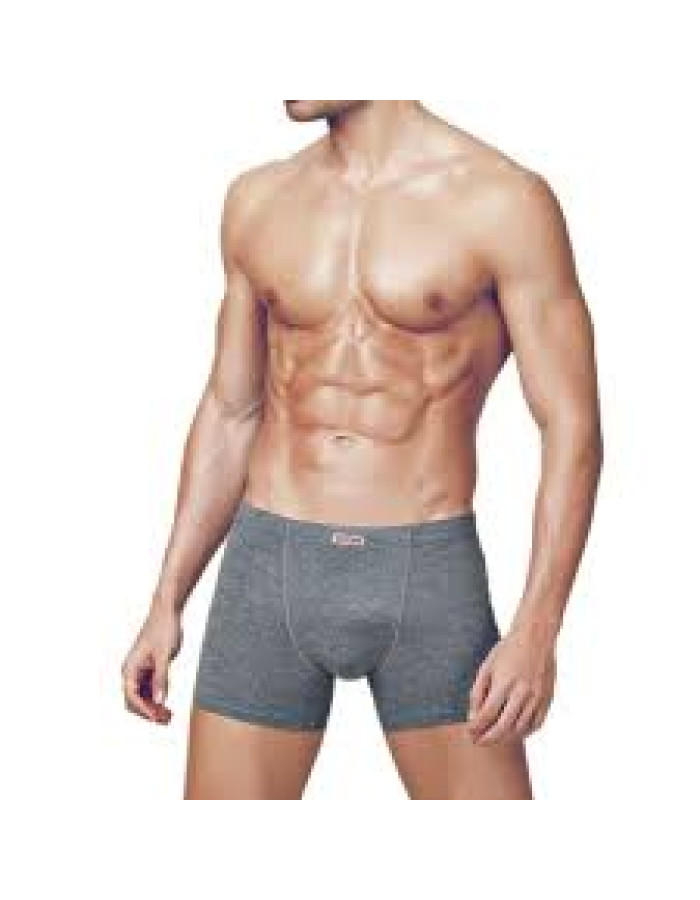 Ανδρικο Μποξερ 1